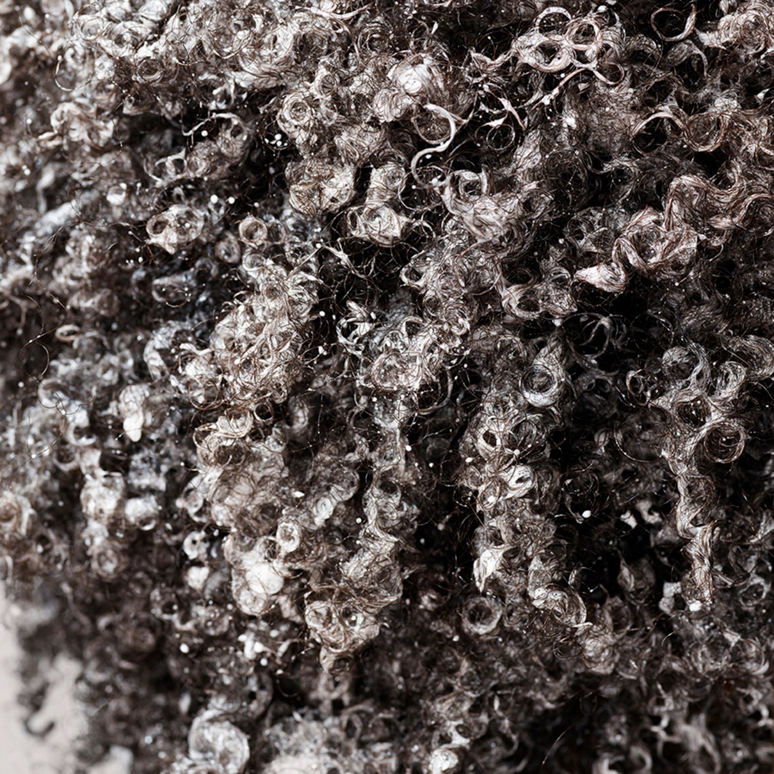 ORIBE SHAMPOO FOR MOISTURE AND CONTROL